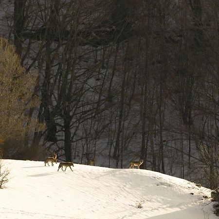 Hotel Valle Del Lupo Пескасероли Екстериор снимка