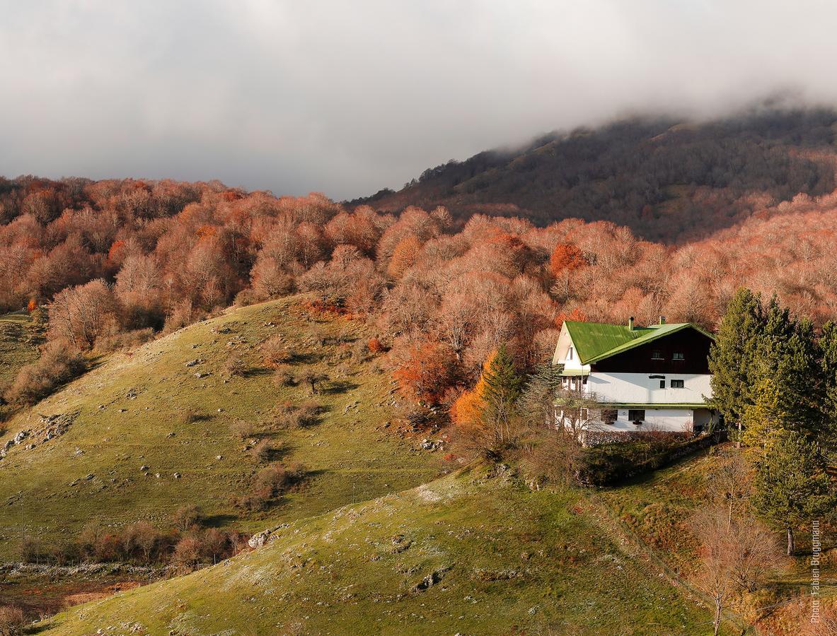 Hotel Valle Del Lupo Пескасероли Екстериор снимка